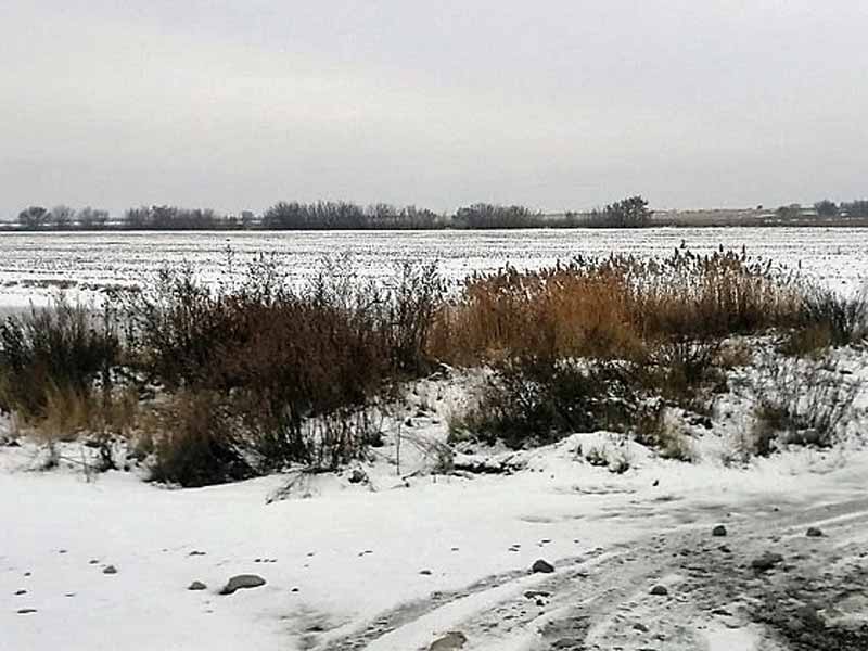 <?php echo esc_attr( get_the_title() ) ?>