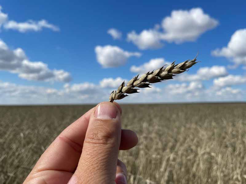 <?php echo esc_attr( get_the_title() ) ?>