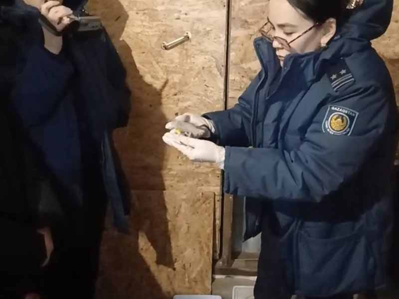 <?php echo esc_attr( get_the_title() ) ?>