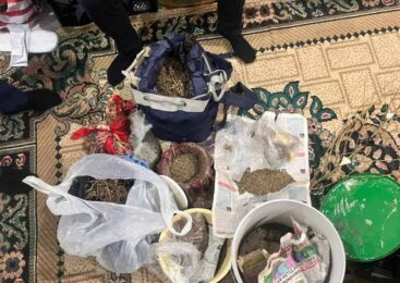 В Акмолинской области изъято более пяти килограммов марихуаны