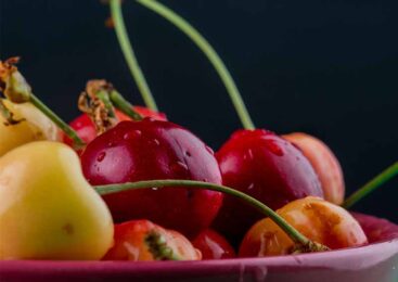 Ряд ввозных таможенных пошлин отменили в Казахстане