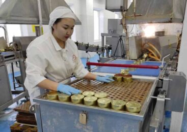 В Казахстане налажен выпуск консервов из мяса сайгака