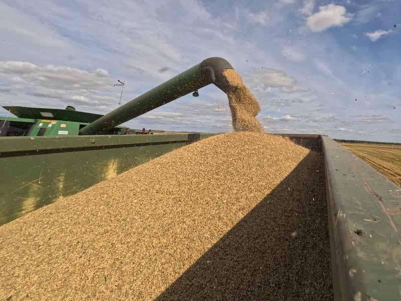 <?php echo esc_attr( get_the_title() ) ?>