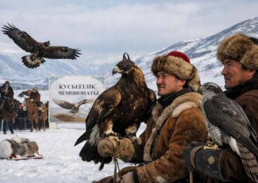 Турнир беркутчи