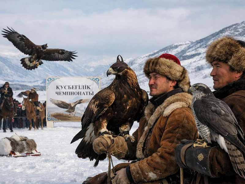 Турнир беркутчи