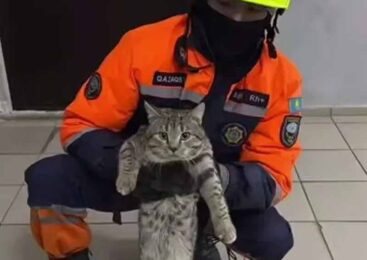 Неожиданная операция МЧС в Астане: кого доставали из электрощитовой