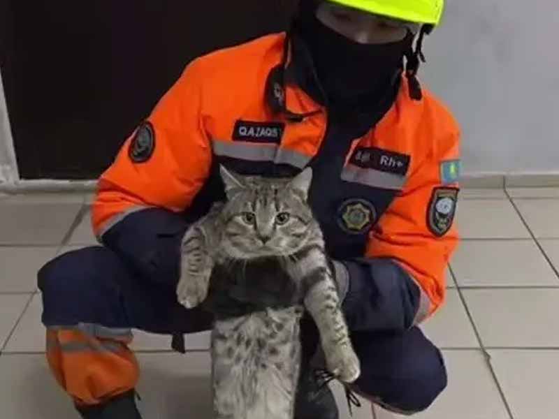 <?php echo esc_attr( get_the_title() ) ?>