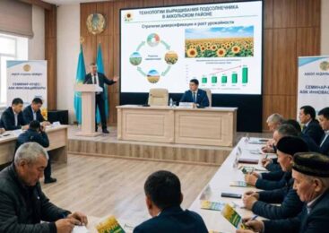 Аграриям Аккольского района презентовали технологии выращивания подсолнечника