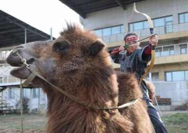 4 мишени за 10 секунд с верблюда: на ипподроме Алматы установлен мировой рекорд