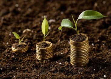 3287 аграриев получили доступ к раннему финансированию посевной