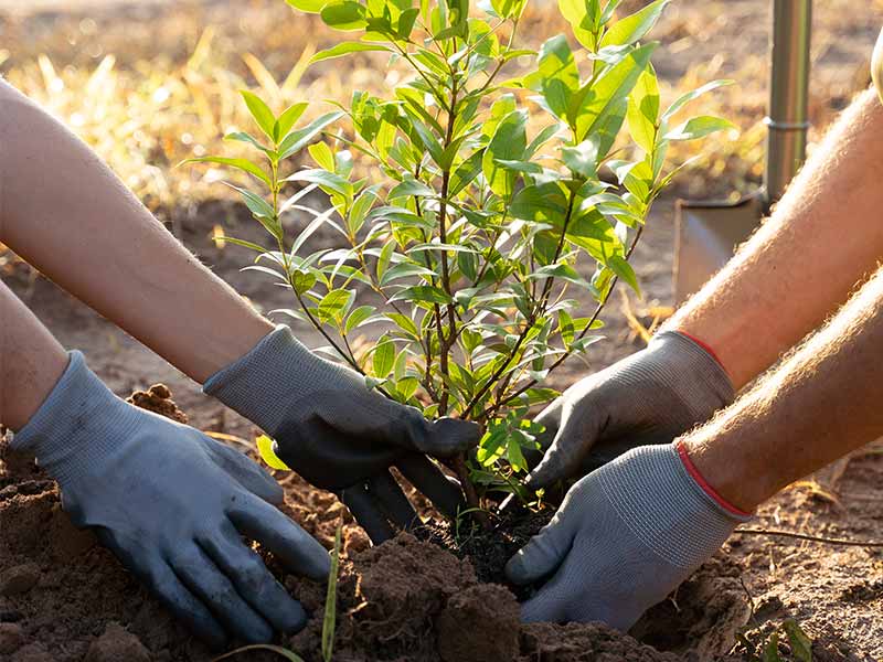 <?php echo esc_attr( get_the_title() ) ?>