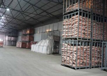 Как Акмолинская область становится лидером глубокой переработки сельхозпродукции