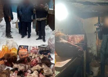 Антисанитарный мясной цех работал в частном секторе столицы