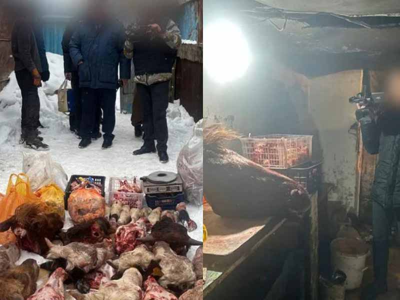 Антисанитарный мясной цех работал в частном секторе столицы