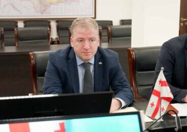 Грузия заинтересована в расширении сотрудничества с Казахстаном в сфере АПК