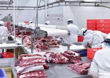 «Щучинский МПК» ЖШС ұжымы республикалық референдумды қолдайды