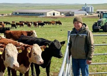 Акмолинские аграрии увеличивают стада за счет господдержки