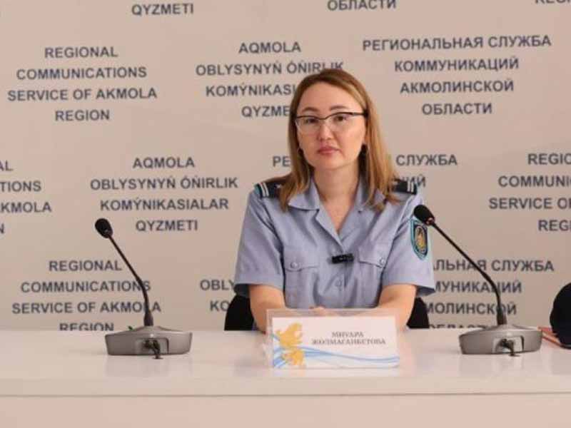 Профилактика вместо последствий: в Акмолинской области усилили меры против семейно-бытового насилия