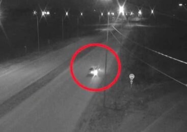 Угнанный автомобиль попал в объектив камер ЦОУ в Кокшетау