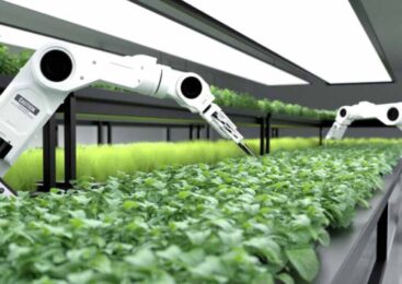 Акмолинская область лидирует в стране по количеству SMART-ферм