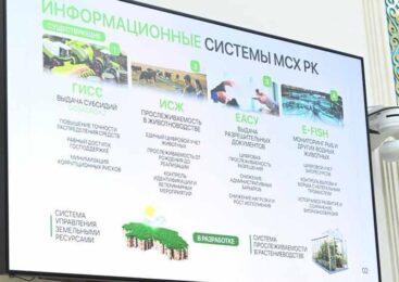 Опыт Акмолинской области по цифровому контролю посевов масштабируют на всю страну