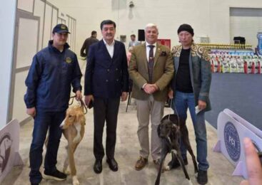 В Астане состоялась монопородная выставка «Kazakh Tazy»