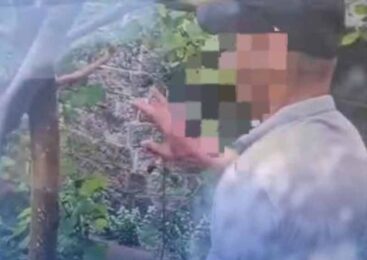 Участковый инспектор полиции выявил нарушителя общественного порядка в городе Косшы