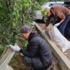 Нарушителей порядка в нацпарке «Бурабай» привлекли к общественным работам