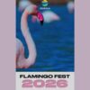 🦩 FLAMINGO FEST 2026 — табиғат пен мәдениетті тоғыстырған ерекше мереке!