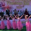 Ақмола облысында екінші мәдени-туристік Flamingo Fest фестивалі басталды