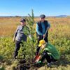 В Акмолинской области масштабно отметили Всемирный день чистоты