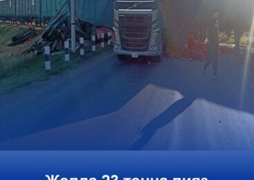 23 тонны лука рассыпались на дороге: полицейские обеспечили безопасность на месте ДТП