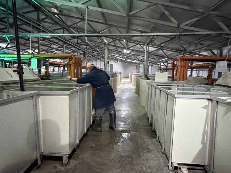 Развитие рыбоводства в регионе