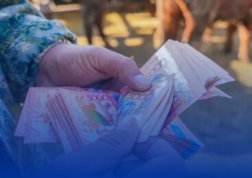 Обещали 5 миллионов тенге на развитие животноводства: акмолинка потеряла более 2 миллионов из-за мошенников