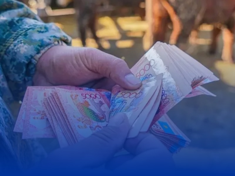 Обещали 5 миллионов тенге на развитие животноводства: акмолинка потеряла более 2 миллионов из-за мошенников