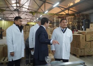 Птицефабрика «Ақкөл Құс» увеличит производственные мощности до 200 млн яиц в год