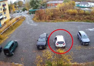 Увидел нарушение — сообщил: акмолинец помог полицейским привлечь к ответственности нарушителя общественного порядка
